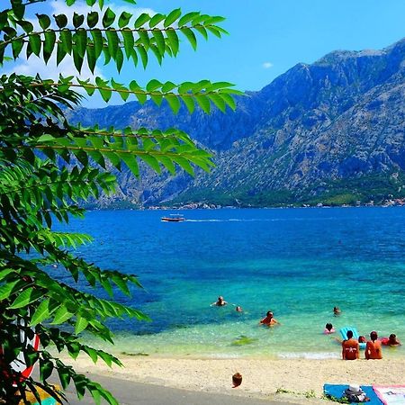 Bay Of Kotor View Apartment With Pool Prcanj Luaran gambar