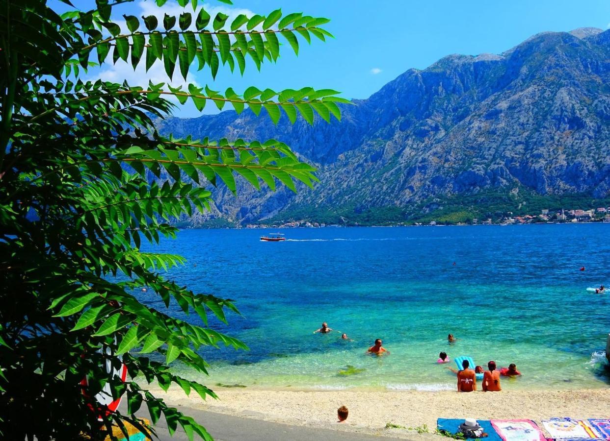 Bay Of Kotor View Apartment With Pool Prcanj Luaran gambar